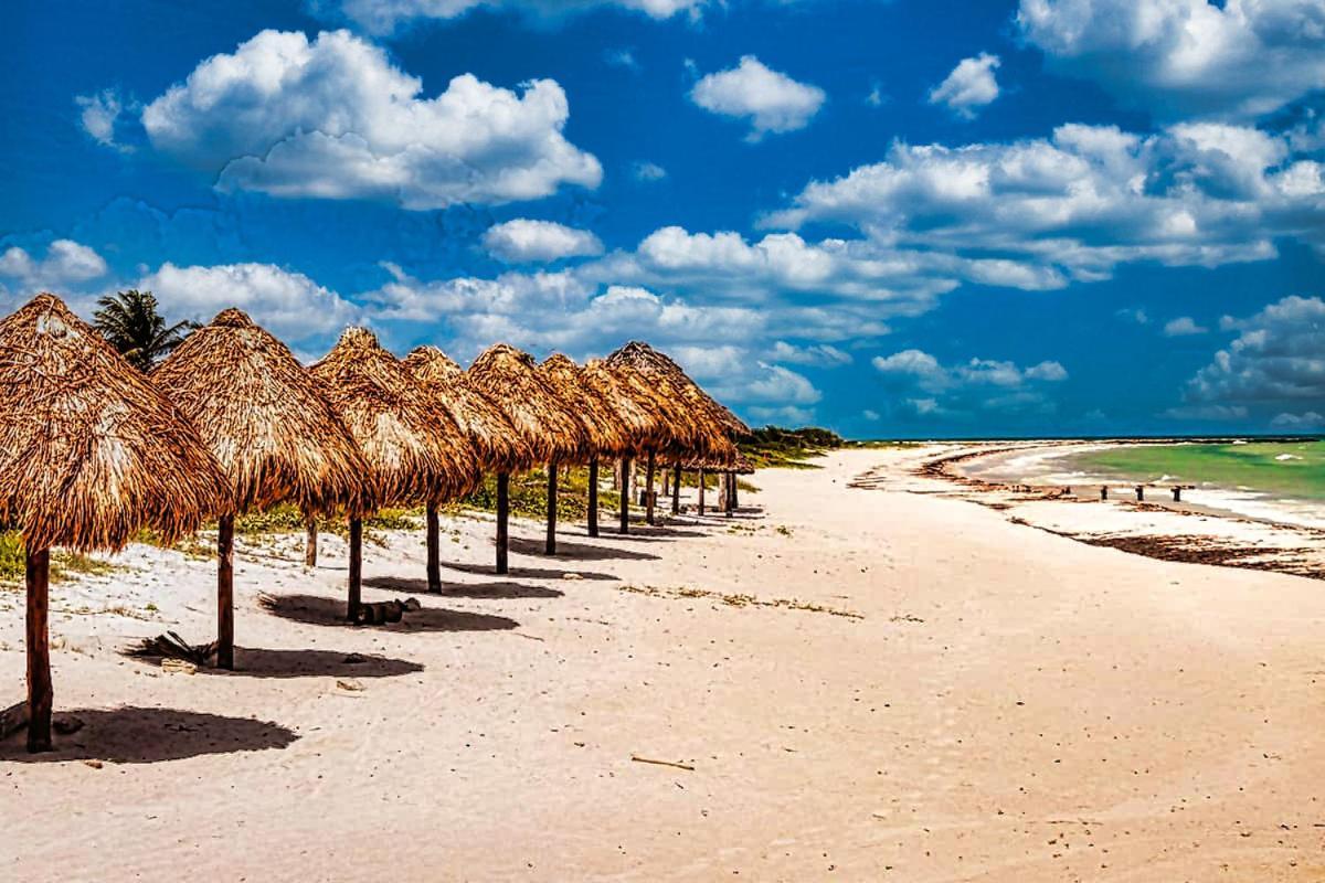 Beachfront Apartment Hacienda Del Cuyo Extérieur photo